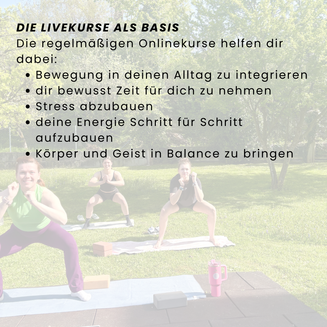 Monatsabo Well-Being Alltag Plus