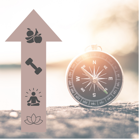 Well-Being Navigator Basic